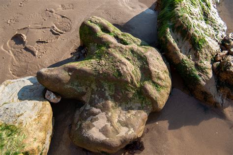 fossil hunting on the isle of wight.